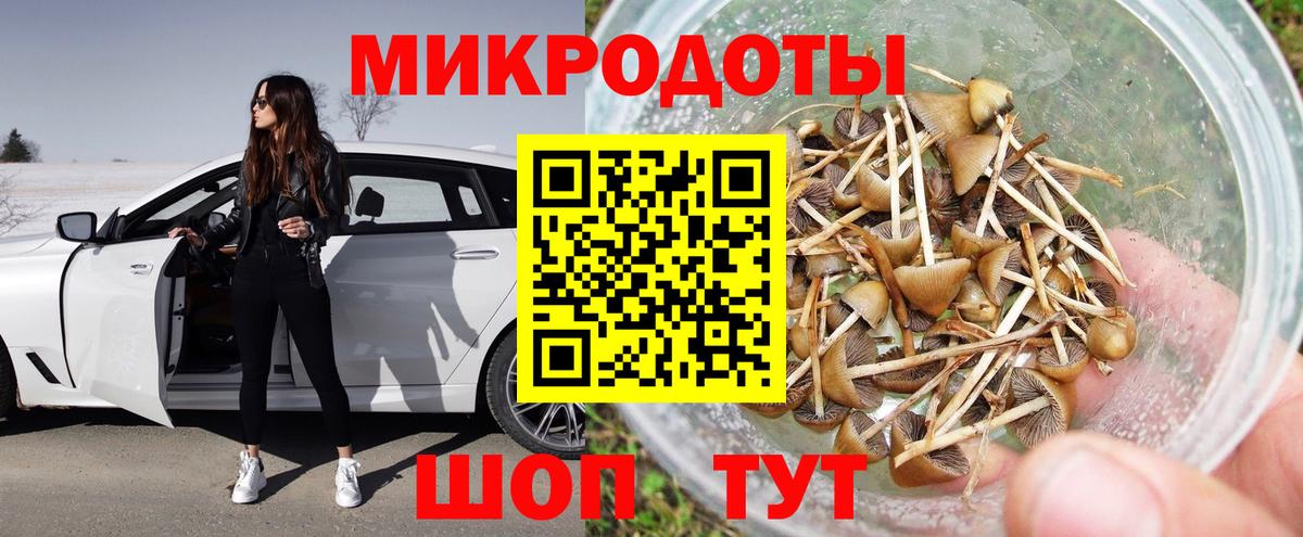 Псилоцибиновые грибы Cubensis Петрозаводск