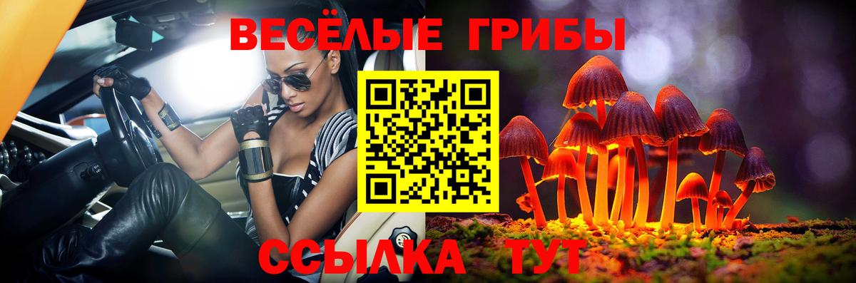 Галлюциногенные грибы прущие грибы  Псилоцибиновые грибы MAGIC MUSHROOMS  Петрозаводск  Вход с VPN 